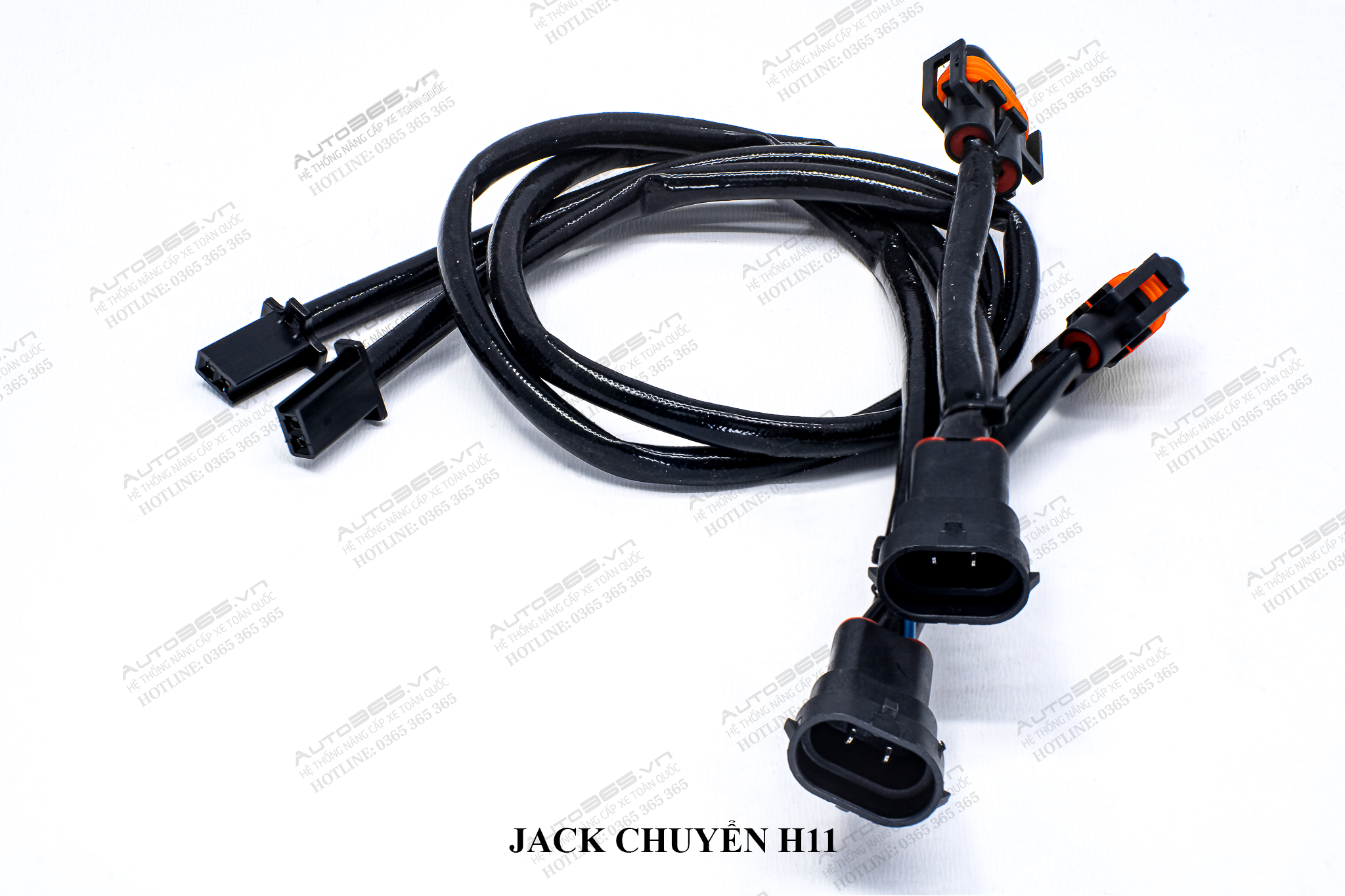 JACK H11